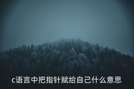 c语言中把指针赋给自己什么意思