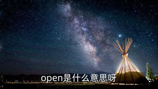 open是什么意思呀