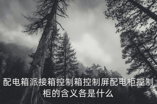 电柜控制箱，配电箱派接箱控制箱控制屏配电柜控制柜的含义各是什么