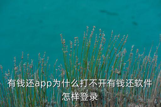 有钱还app为什么打不开有钱还软件怎样登录