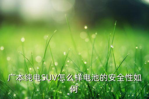 广本纯电suv怎么样电池的安全性如何