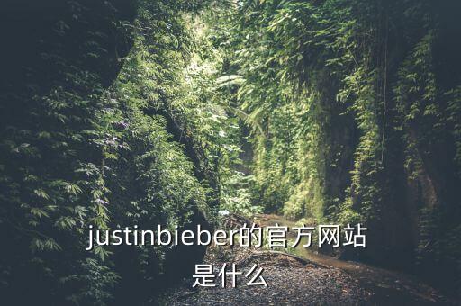 史蒂夫pg电子游戏试玩平台网站官网，justinbieber的官方网站是什么