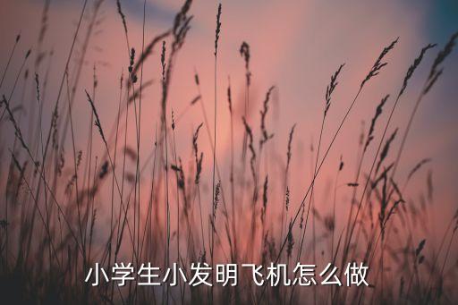 小学生小发明飞机怎么做