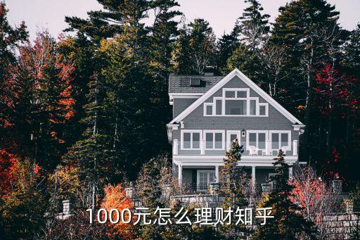 1000元怎么理财知乎