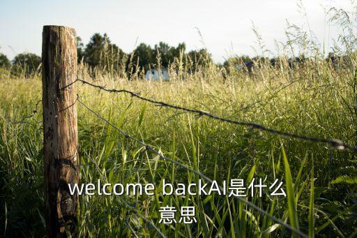 艾伦人工智能研究所三项准则，welcome backai是什么意思