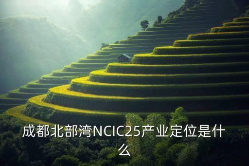 成都北部湾ncic25产业定位是什么