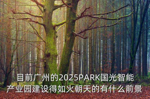 目前广州的2025park国光智能产业园建设得如火朝天的有什么前景