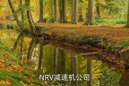 nrv减速机公司