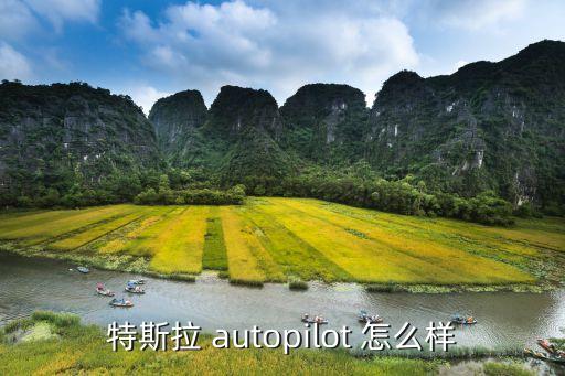 特斯拉 autopilot 怎么样