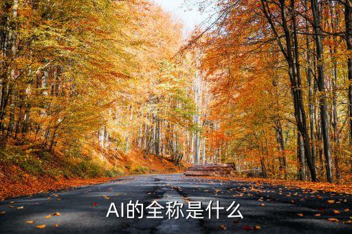 ai的全称是什么