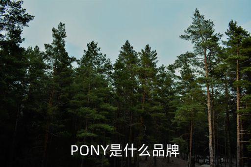 pony是什么品牌