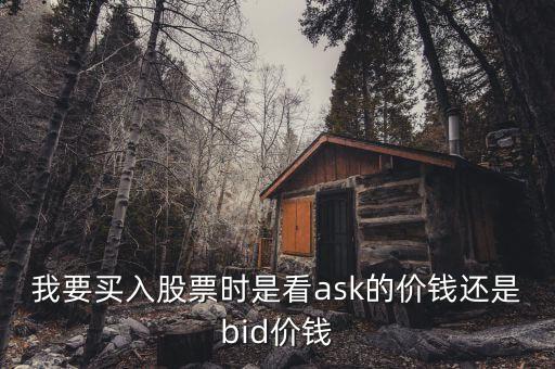 我要买入股票时是看ask的价钱还是bid价钱