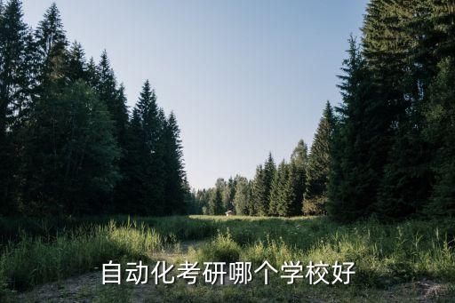 读研自动化专业哪所大学好，自动化专业考研报那所大学好