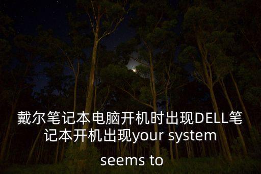 戴尔笔记本电脑开机时出现dell笔记本开机出现your system seems to