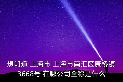 上海萌视科技有限公司，想知道 上海市 上海市南汇区康桥镇3668号 在哪公司全称是什么