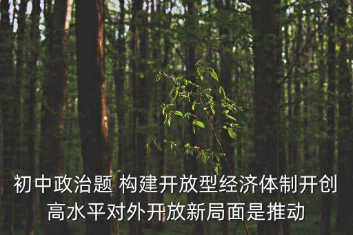 初中政治题 构建开放型经济体制开创高水平对外开放新局面是推动