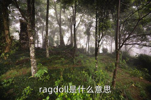 ragdoll是什么意思