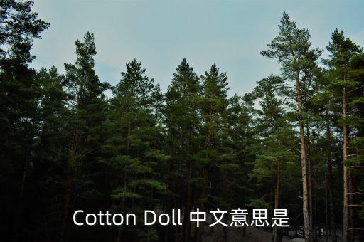 棉花娃娃是啥，cotton doll 中文意思是