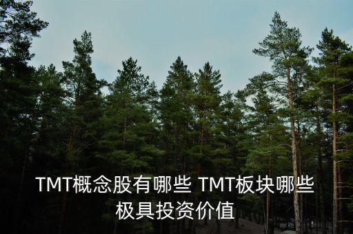 tmt概念股有哪些 tmt板块哪些极具投资价值