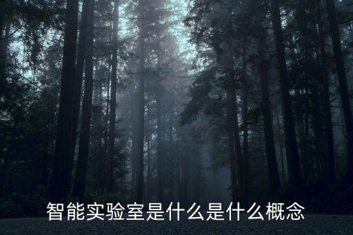 智能实验室是什么是什么概念