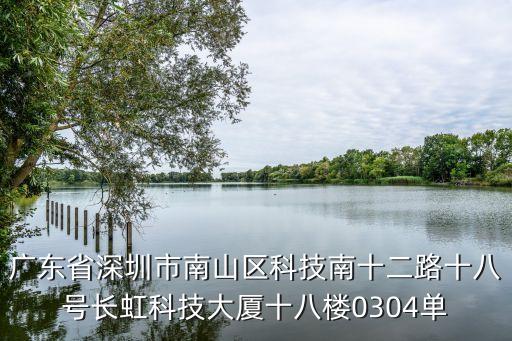 广东省深圳市南山区科技南十二路十八号长虹科技大厦十八楼0304单