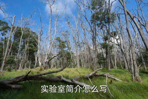 实验室简介怎么写