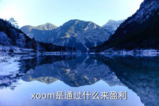 xoom是通过什么来盈利