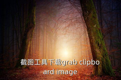 截图工具下载grab clipboard image