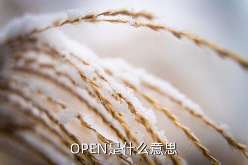 open是什么意思