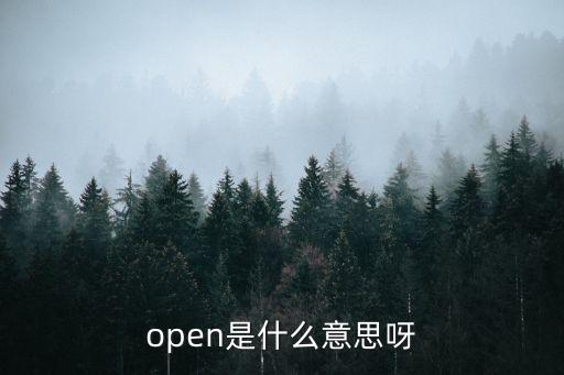 open是什么意思呀