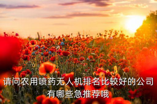 请问农用喷药无人机排名比较好的公司有哪些急推荐哦