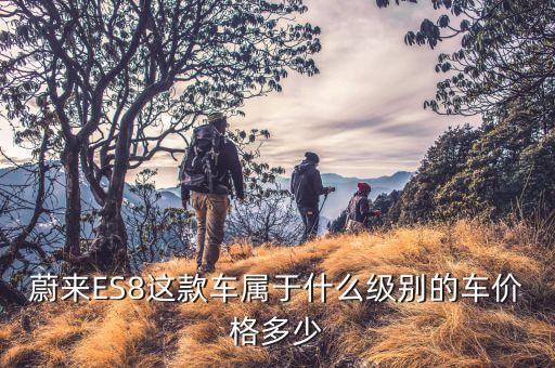 蔚来es8这款车属于什么级别的车价格多少