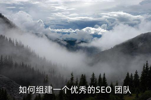 如何组建一个优秀的seo 团队