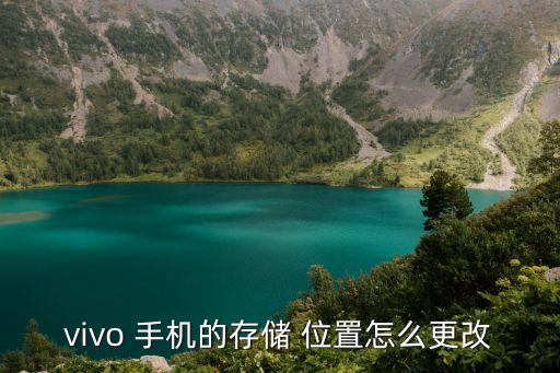 vivo 手机的存储 位置怎么更改