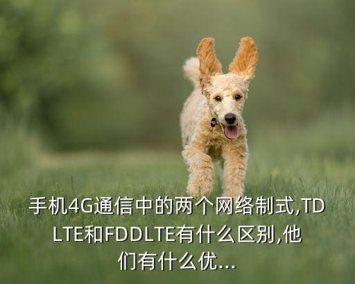 手机4g通信中的两个网络制式,tdlte和fddlte有什么区别,他们有什么优...