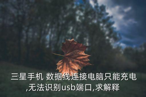  三星手机 数据线连接电脑只能充电,无法识别usb端口,求解释