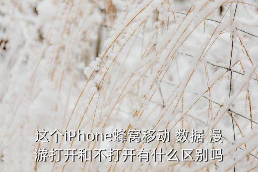 这个iphone蜂窝移动 数据 漫游打开和不打开有什么区别吗