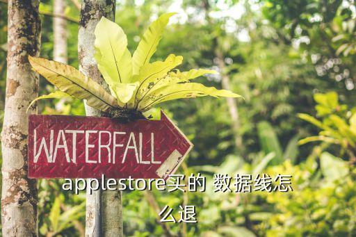 applestore买的 数据线怎么退