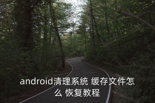 android清理系统 缓存文件怎么 恢复教程