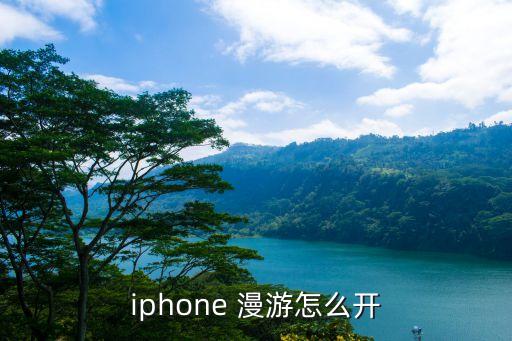 iphone 漫游怎么开