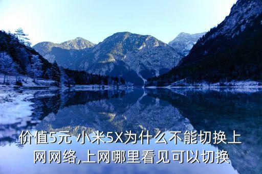 价值5元 小米5x为什么不能切换上网网络,上网哪里看见可以切换