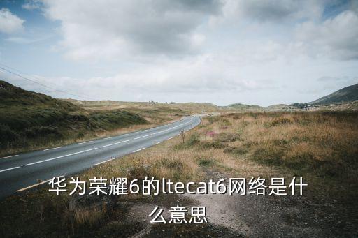 手机数据cat是什么意思