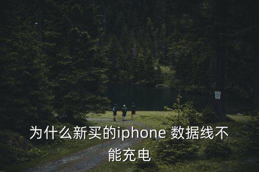 为什么新买的iphone 数据线不能充电