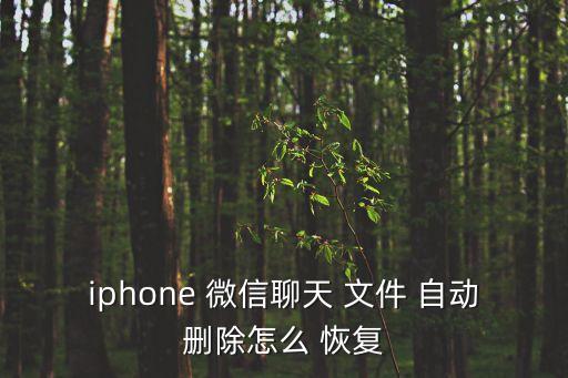 iphone 微信聊天 文件 自动删除怎么 恢复