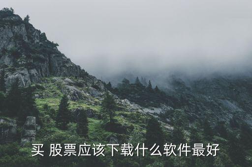 买 股票应该下载什么软件最好