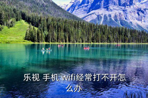  乐视 手机 wifi经常打不开怎么办