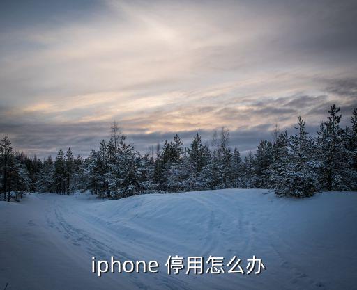 iphone 停用怎么办