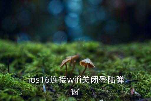  ios16连接wifi关闭登陆弹窗