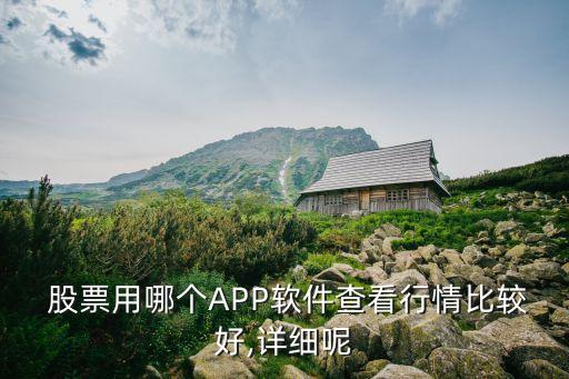  股票用哪个app软件查看行情比较好,详细呢