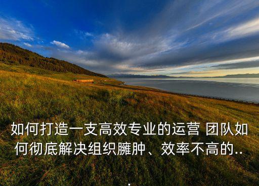 如何打造一支高效专业的运营 团队如何彻底解决组织臃肿、效率不高的...